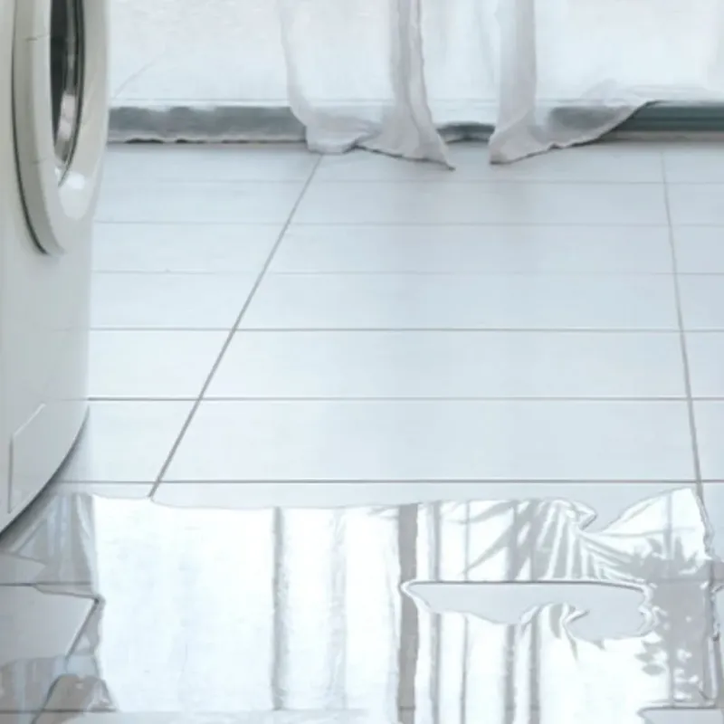 Appliance Leak Cleanup in Scappoose, OR