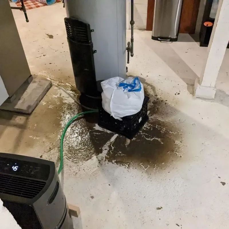 Sewage Backup Cleanup Service in Scappoose, OR